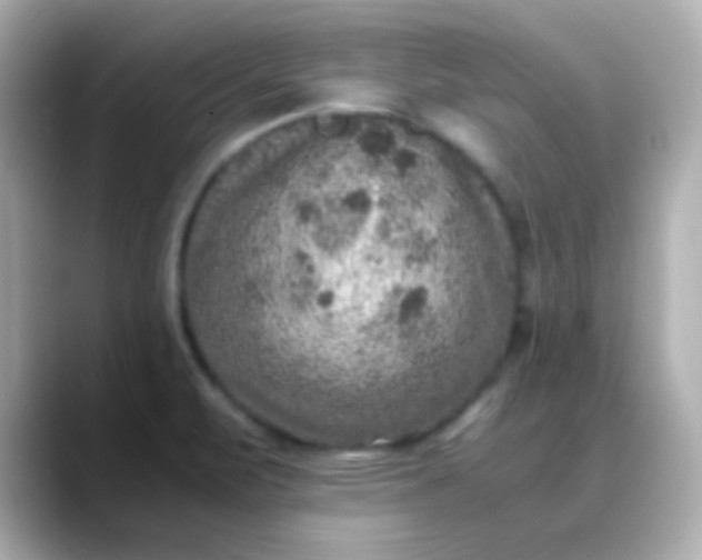 X0000088401471200706051127