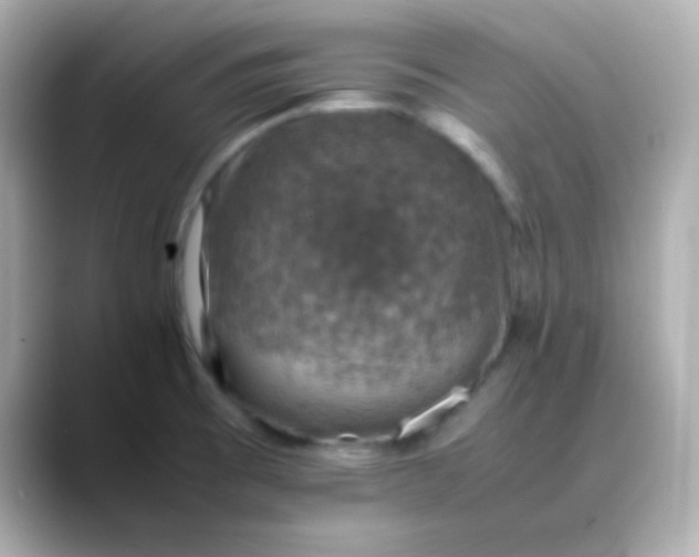 X0000088401473200706051127