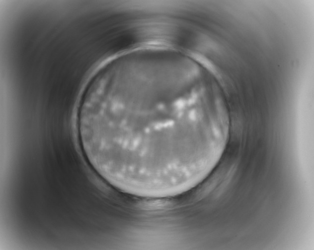 X0000088401474200706051127