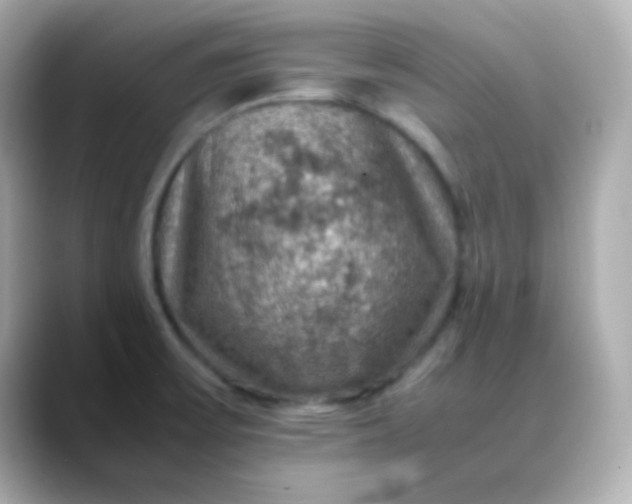 X0000088401475200706051127