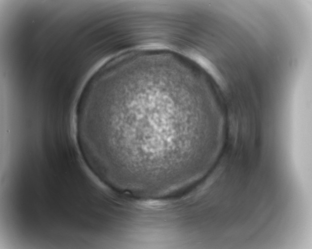 X0000088401476200706051127