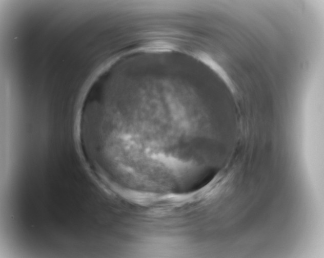 X0000088401477200706051127