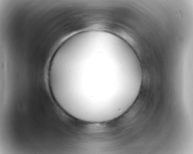 X0000088401478200706051127