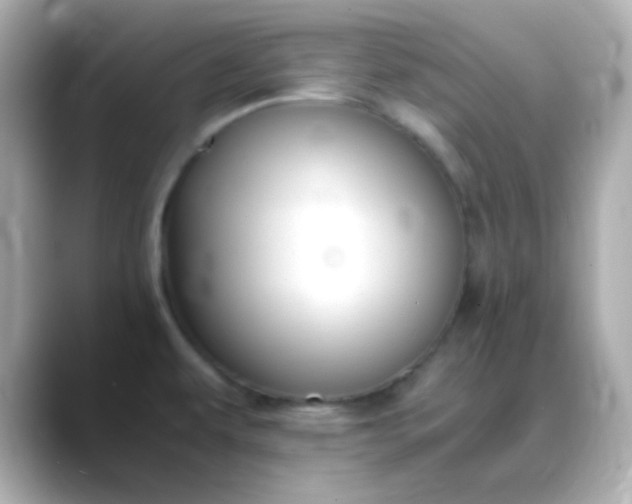 X0000088401479200706051127