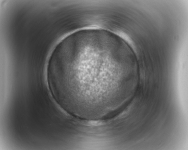 X0000088401480200706051127