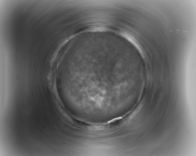 X0000088401481200706051127