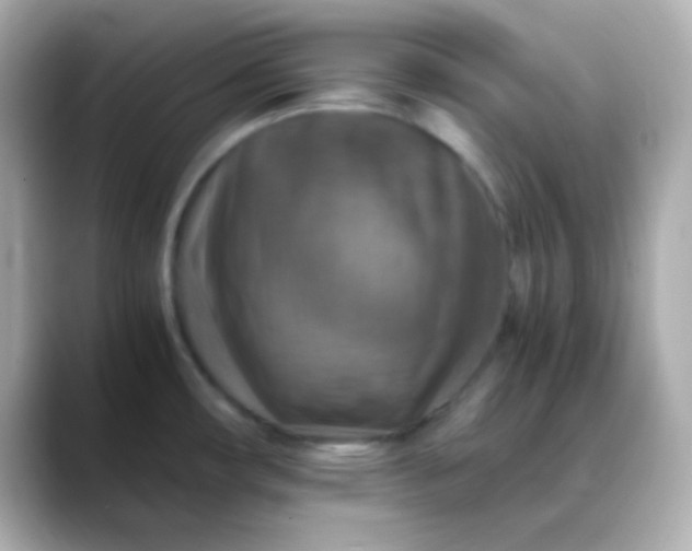 X0000088401482200706051127