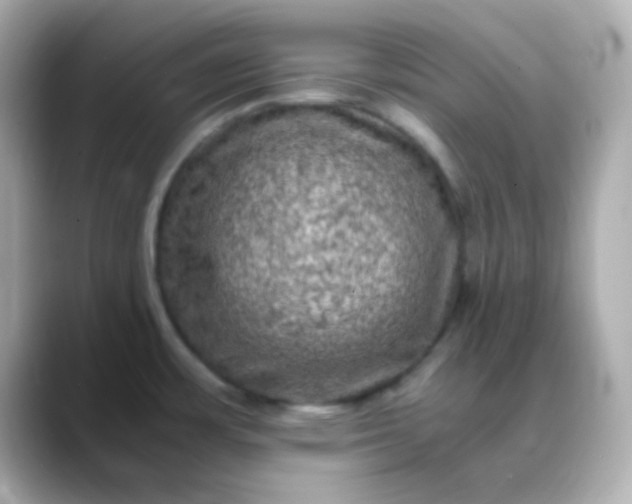 X0000088401483200706051127