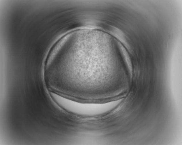 X0000088401484200706051127