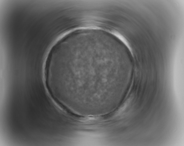 X0000088401485200706051127