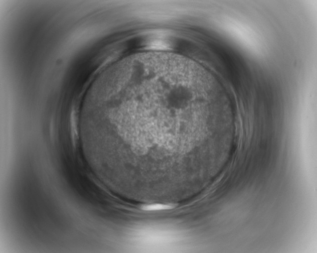 X0000088401487200706051127