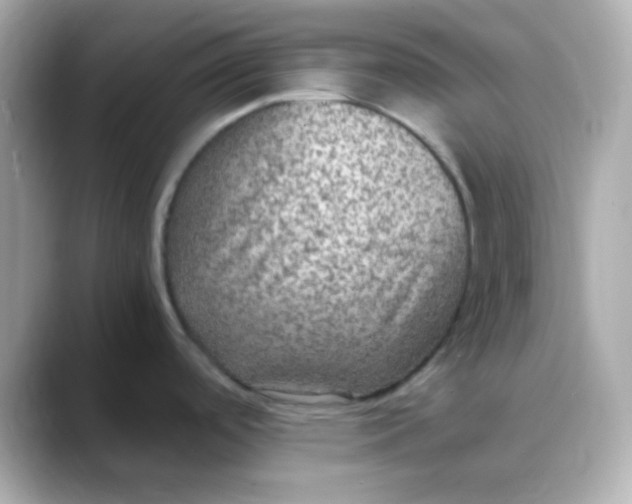 X0000088401488200706051127