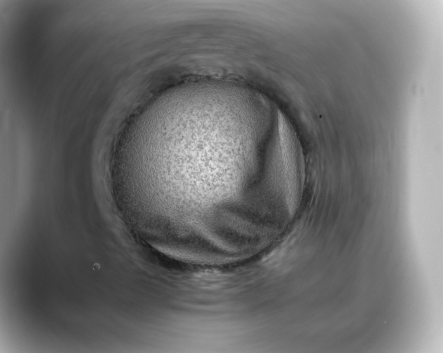 X0000088401489200706051126