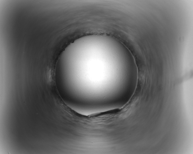 X0000088401490200706051126