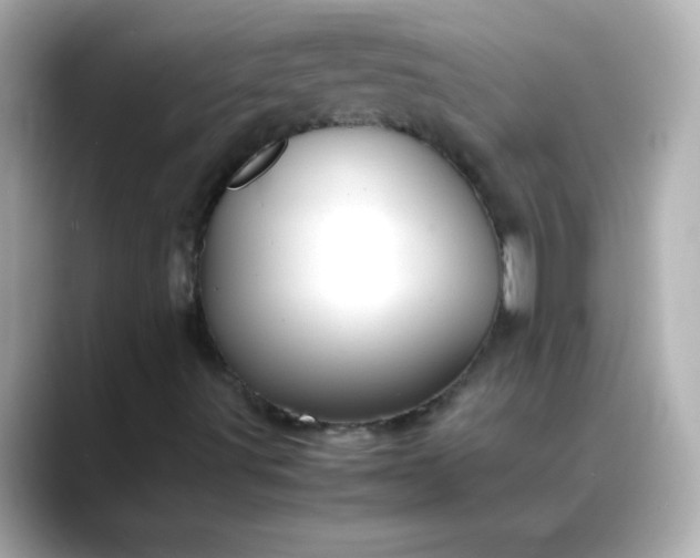 X0000088401491200706051126