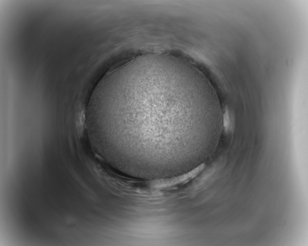 X0000088401492200706051126