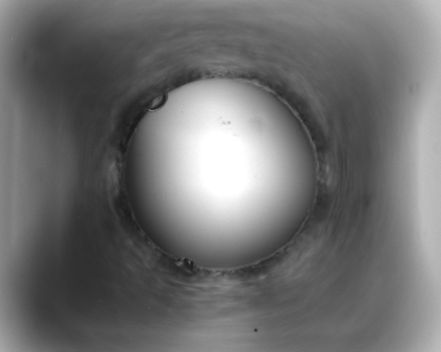 X0000088401493200706051126