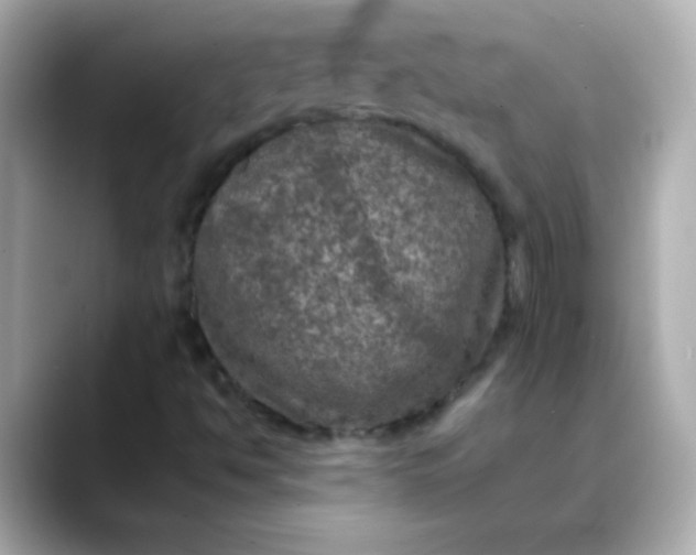 X0000088401494200706051126