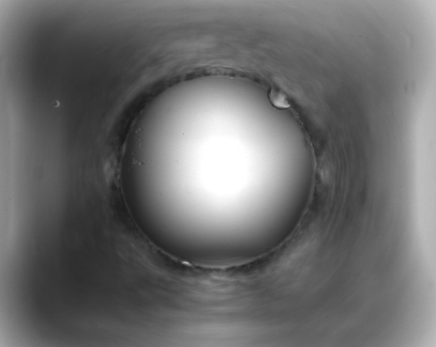 X0000088401495200706051126