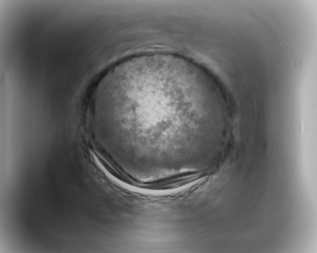 X0000088401496200706051126