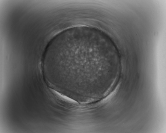 X0000088401497200706051126