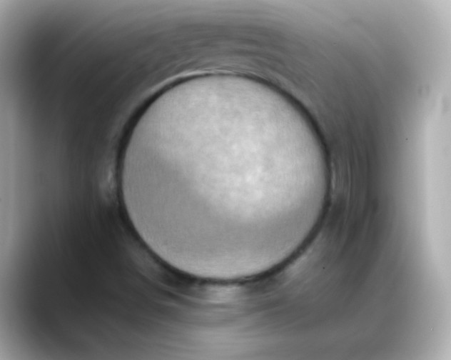 X0000088401498200706051126