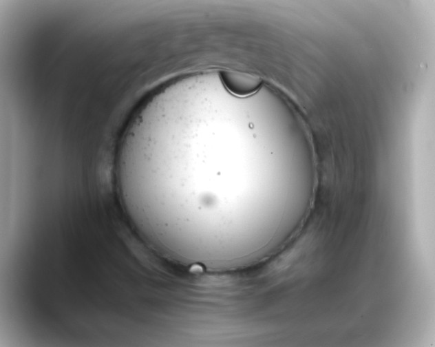 X0000088401499200706051126