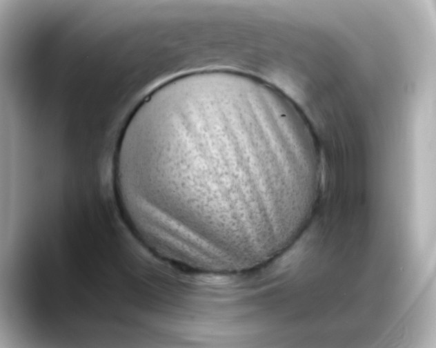 X0000088401500200706051126