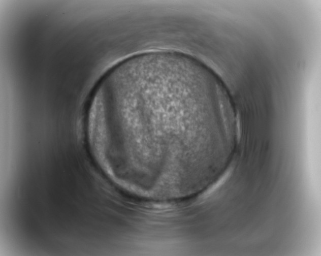 X0000088401501200706051126