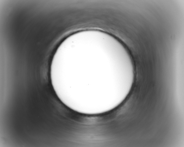 X0000088401502200706051126