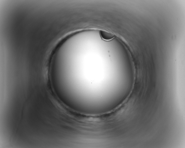 X0000088401503200706051126