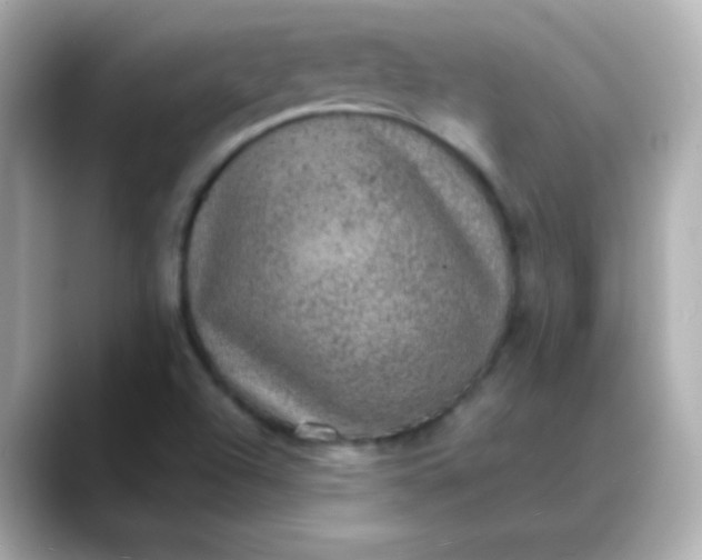 X0000088401504200706051126