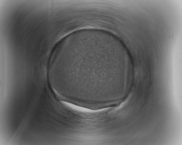 X0000088401505200706051126