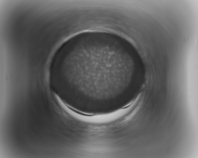 X0000088401506200706051126