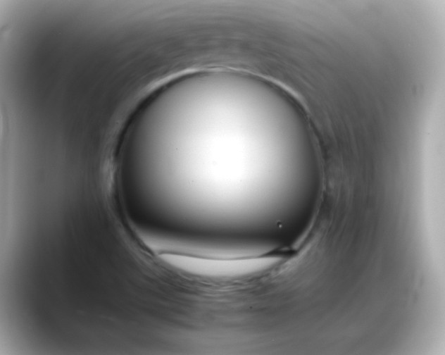 X0000088401507200706051126