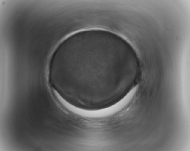 X0000088401508200706051126