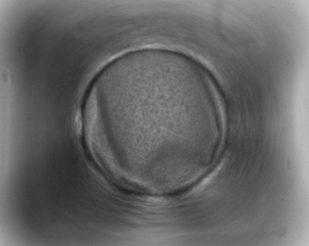 X0000088401509200706051126