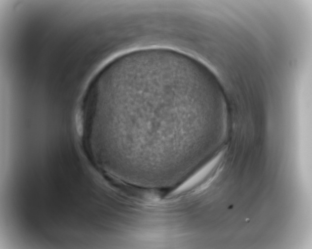 X0000088401510200706051126