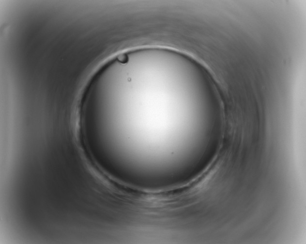 X0000088401511200706051126