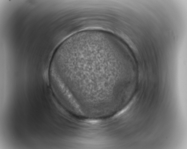 X0000088401513200706051126