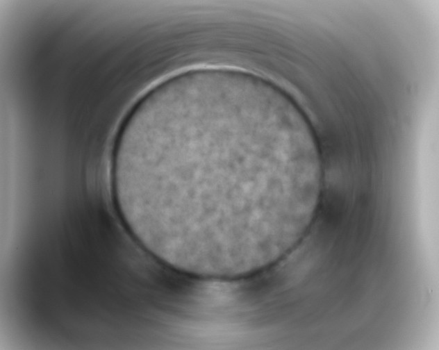 X0000088401514200706051126