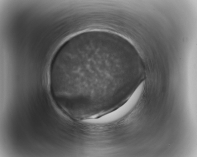 X0000088401515200706051126