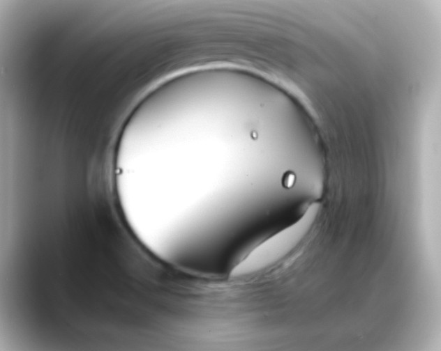 X0000088401516200706051126