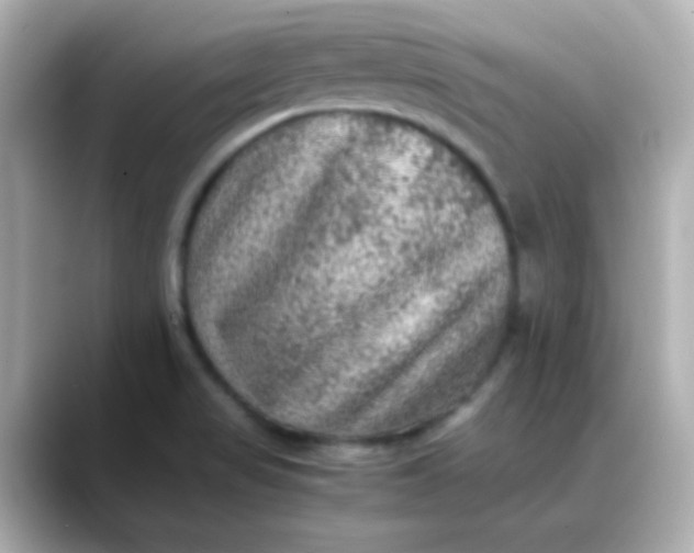 X0000088401517200706051126