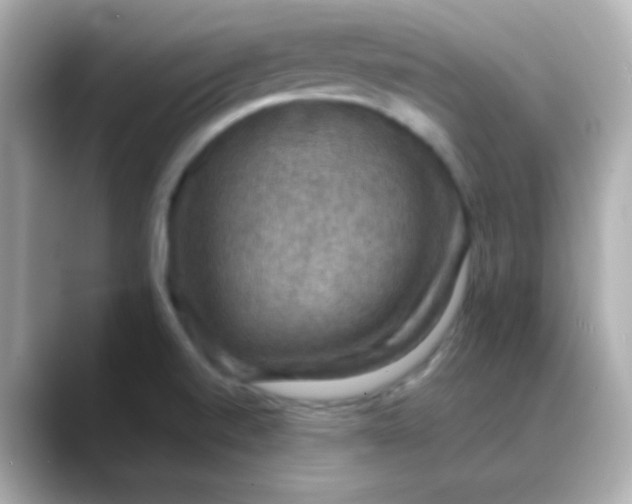 X0000088401520200706051126