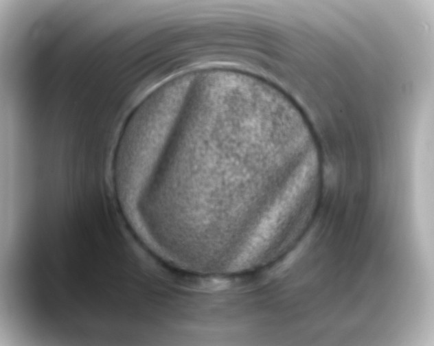 X0000088401521200706051126