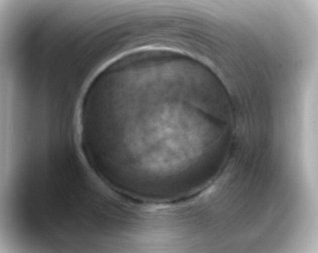 X0000088401522200706051126