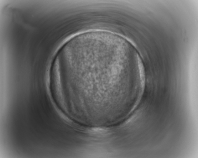 X0000088401523200706051126