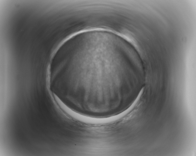 X0000088401524200706051127