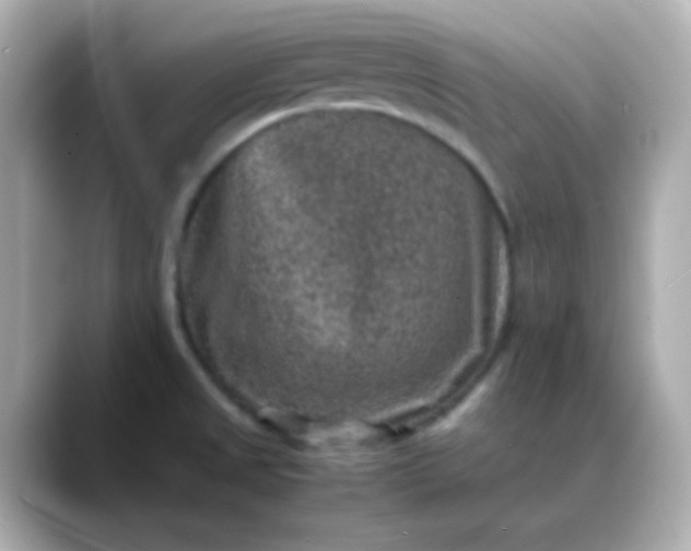 X0000088401525200706051127